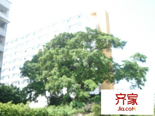 盈百富金領(lǐng)域