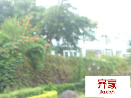 東麗觀海山莊外景圖小區(qū)相關(guān)圖_4