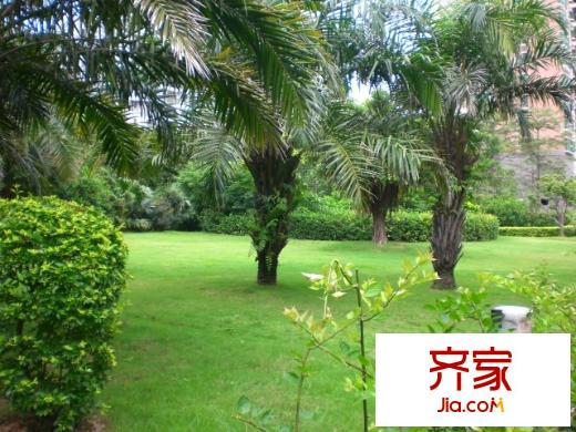 長景閣外景圖小區(qū)相關(guān)圖_5