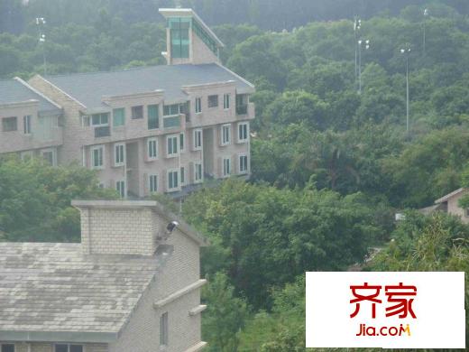 名商高尔夫别墅外景图小区相关图_1