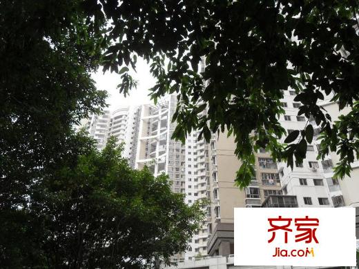 鵬盛花園外景圖小區(qū)相關(guān)圖_8
