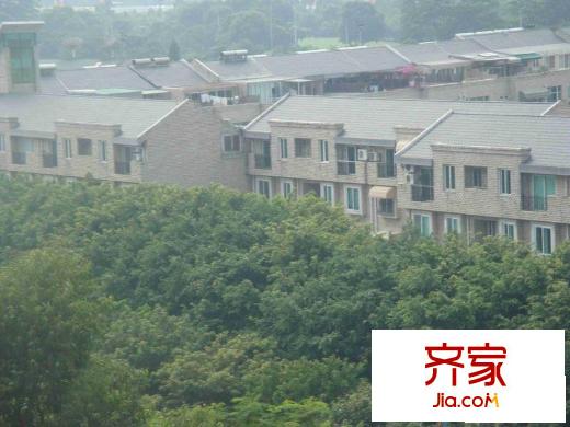 名商高尔夫别墅外景图小区相关图_6