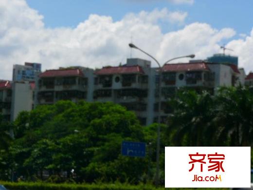 錦濱苑外景圖小區(qū)相關(guān)圖_1