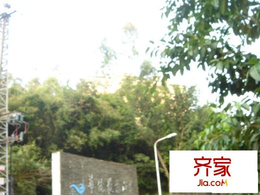 華僑海景山莊外景圖小區(qū)相關(guān)圖_4