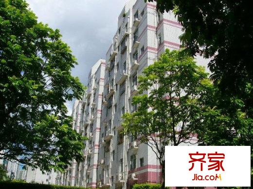錦濱苑外景圖小區(qū)相關(guān)圖_4