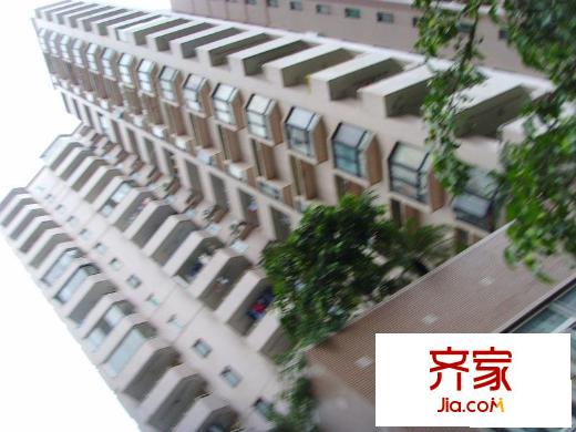 慶典大廈外景圖小區(qū)相關(guān)圖_3