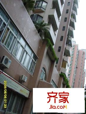 慶典大廈外景圖小區(qū)相關(guān)圖_6