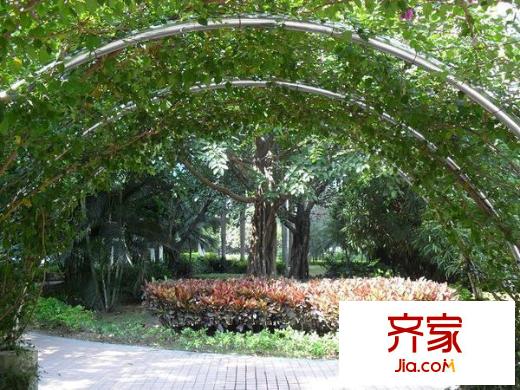 海濱廣場(chǎng)外景圖深圳  