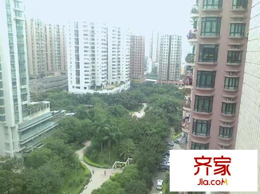 海濱廣場(chǎng)外景圖深圳  