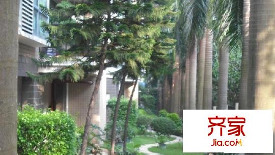 依山居外景圖小區(qū)相關(guān)圖_3