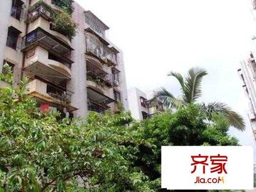深大新村外景圖小區(qū)相關(guān)圖_1