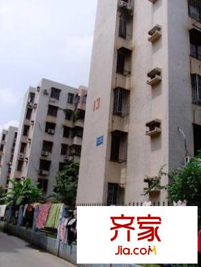 深大新村外景圖小區(qū)相關(guān)圖_6