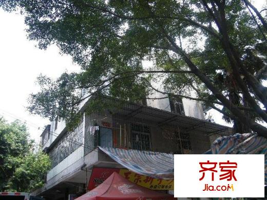 花園新村外景圖小區(qū)相關(guān)圖_1