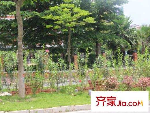 保利百合花園配套圖小區(qū)正對(duì)門華僑中學(xué)