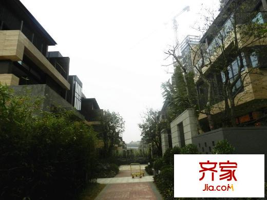 卓越皇后道實(shí)景圖別墅（2014-1-10）