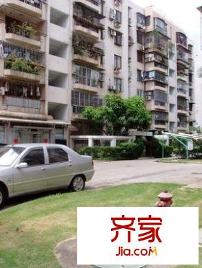 深大新村外景圖小區(qū)相關(guān)圖_5