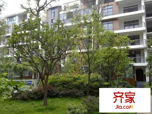 華銀美景