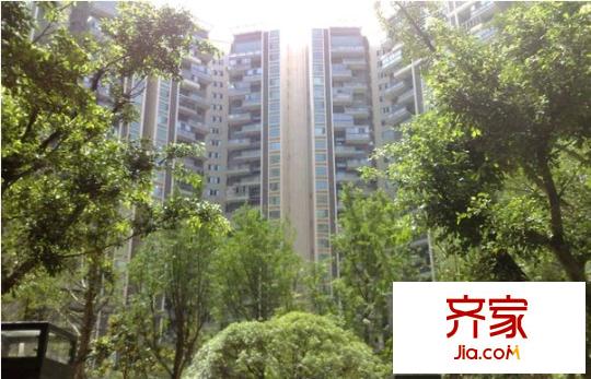 正成拉斐外景圖
