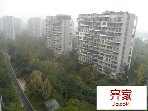 天府欣苑外景圖 