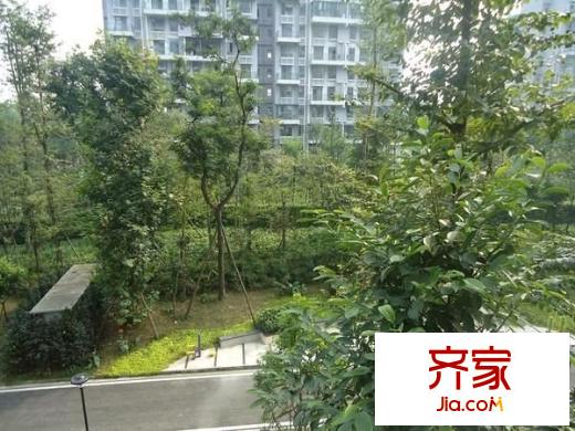 天府欣苑外景圖