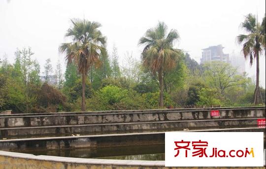 大華水映島配套圖項目周邊配套