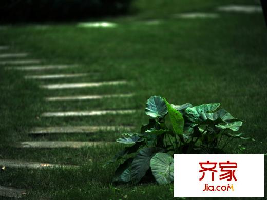 洛森堡新殿二期實景圖洛森堡園林（2013.10.11）
