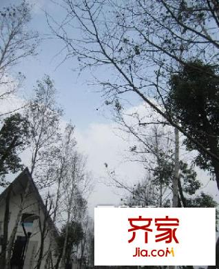 洛森堡新殿二期外景圖