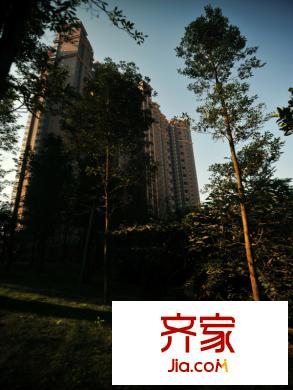 洛森堡新殿二期實景圖洛森堡園林（2013.10.11）