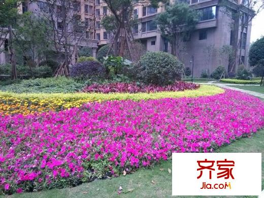 建發(fā)金沙里外景圖
