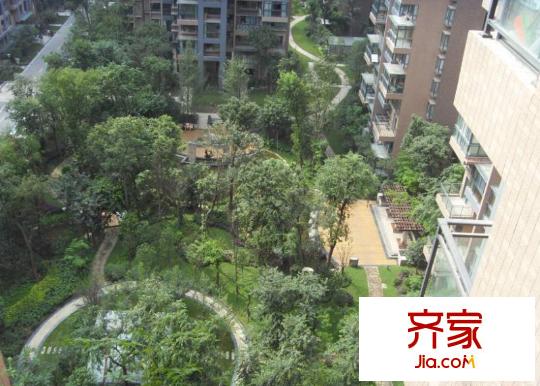 中大君悅金沙五期外景圖