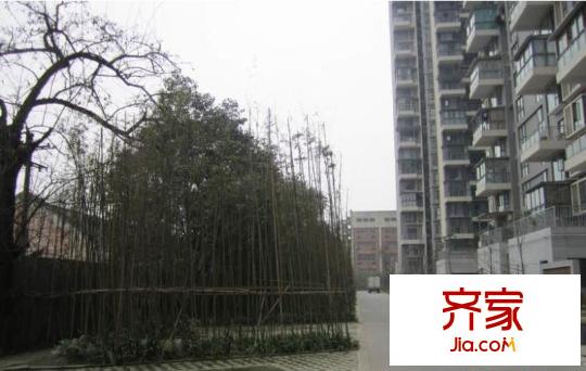 寶泰家園外景圖
