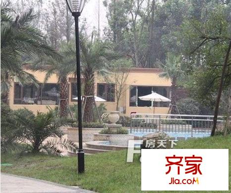 正成拉斐外景圖