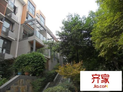 大華水映島外景圖