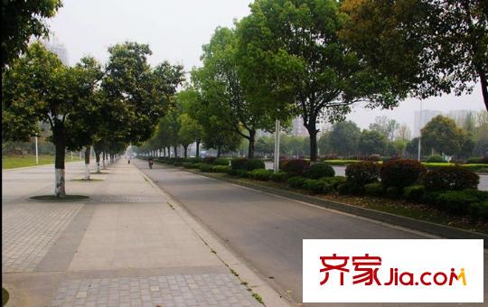 大華水映島配套圖項目周邊配套