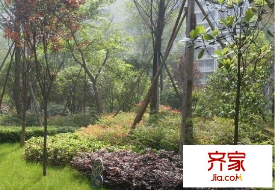 大城際外景圖