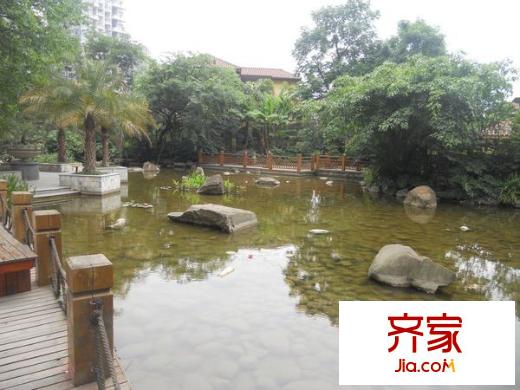 香草國(guó)際外景圖