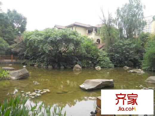 香草國際外景圖