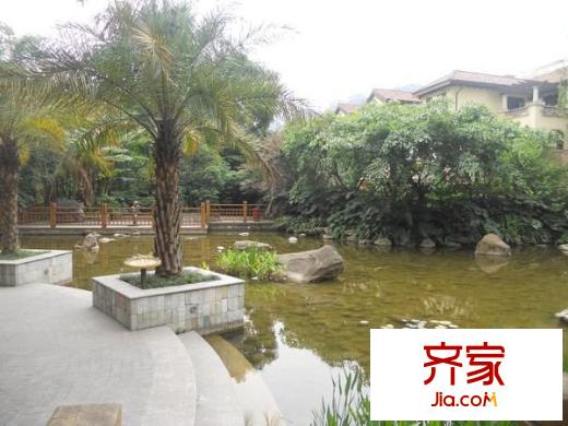 香草國際外景圖