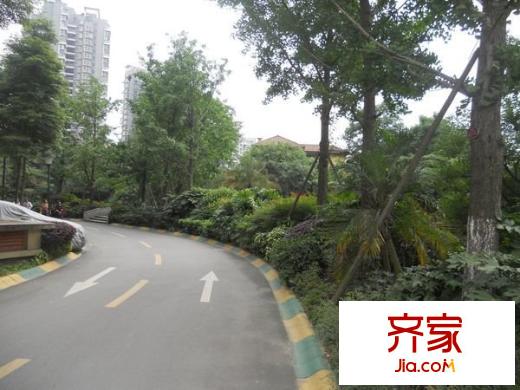 香草國(guó)際外景圖