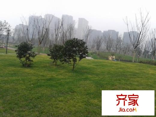 中海金沙府外景圖