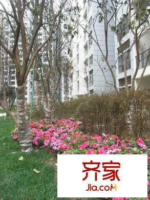 上行錦繡外景圖