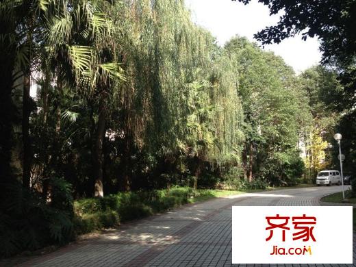 府河音樂花園外景圖 