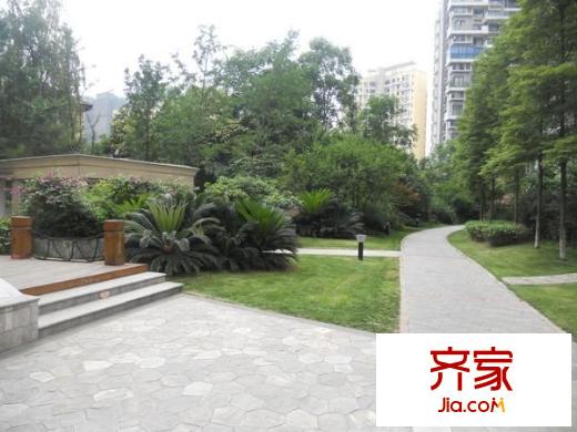 香草國際外景圖