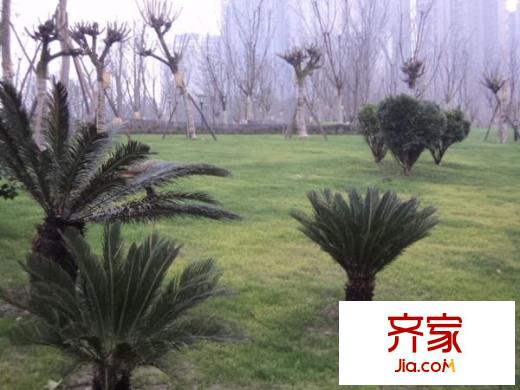 中海金沙府外景圖