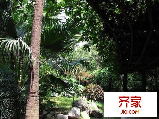 城南名著外景圖