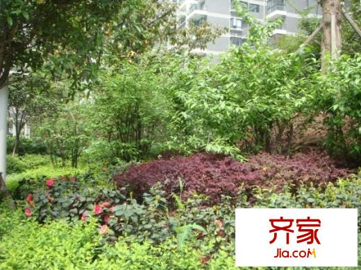 東立光華杏林外景圖