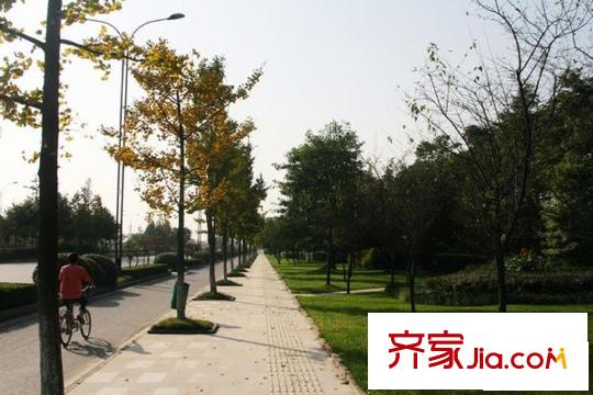 東立光華杏林配套圖向南約50米小道