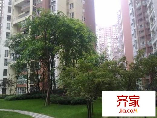 紅楓嶺二期外景圖