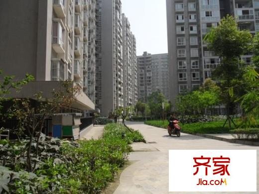 錦繡光華外景圖