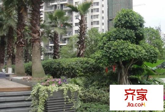 金科一城外景圖